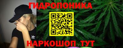винт Славгород