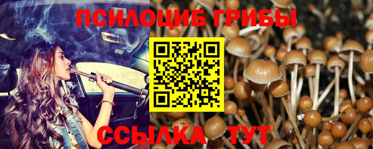 Псилоцибиновые грибы мицелий Ржев