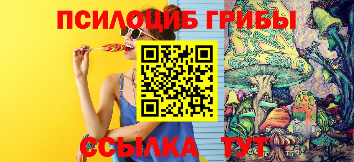 Галлюциногенные грибы Psilocybine cubensis  Вход с VPN  Ржев  Псилоцибиновые грибы мицелий 